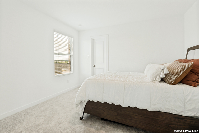 5924 American Elm Property Photo 16