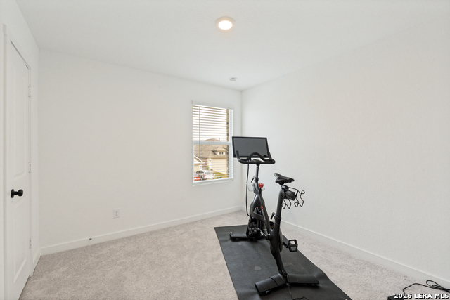 5924 American Elm Property Photo 18