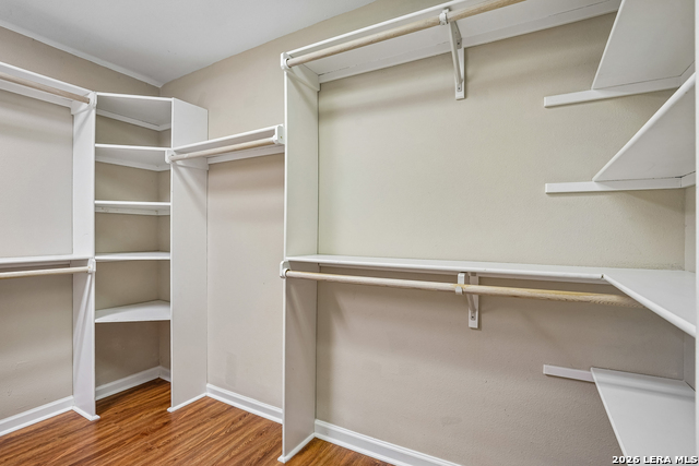 11914 Briarpath St Property Photo 13