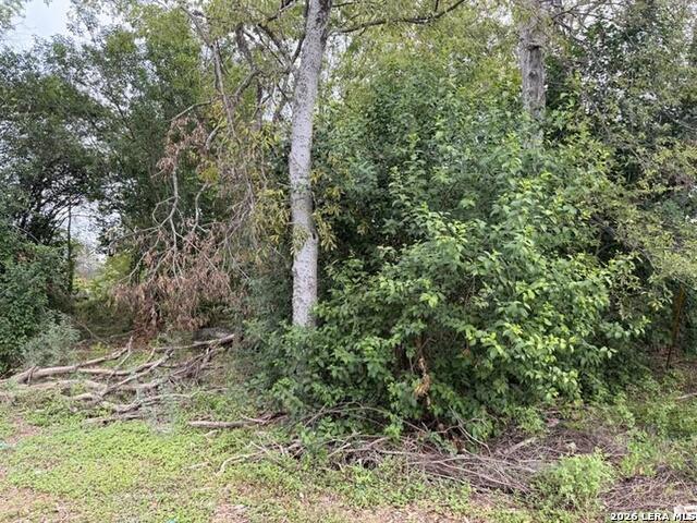 331 Bundy Property Photo 1