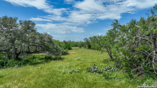 2880 Cr 307 Property Photo 1