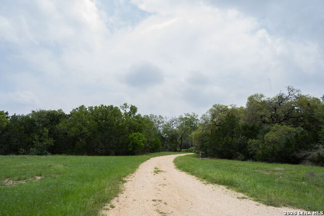 426 Mill Run Property Photo 16
