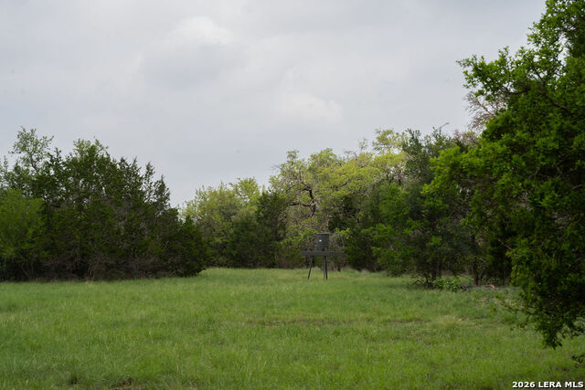426 Mill Run Property Photo 24