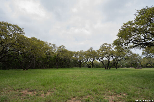 426 Mill Run Property Photo 32