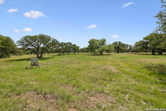 1450 Fm 2342 Property Photo 38