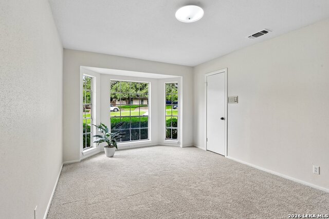 211 Chattington Ct Property Photo 33