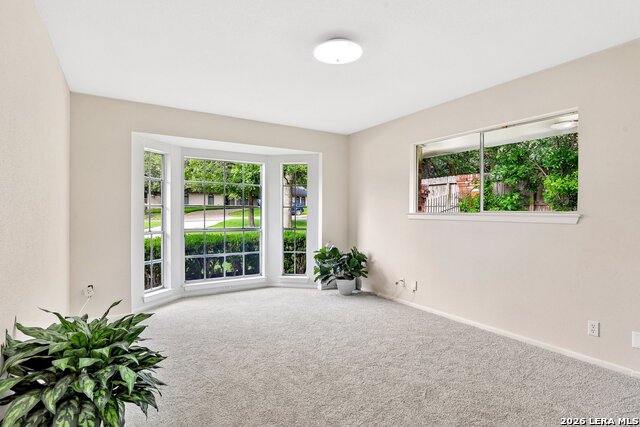 211 Chattington Ct Property Photo 37