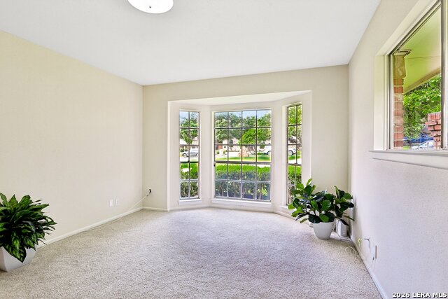 211 Chattington Ct Property Photo 38