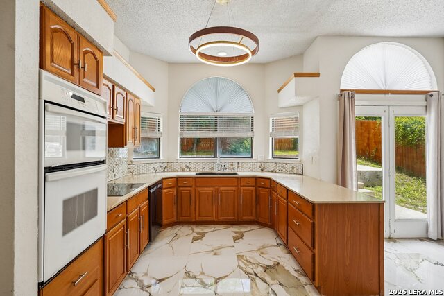 16922 Vista Briar Dr Property Photo 14