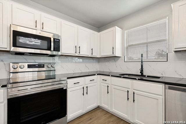 8034 Shumard Oak Property Photo 11