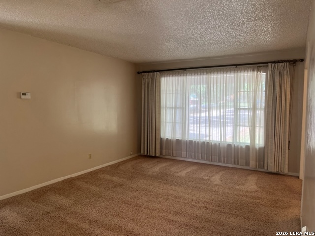 311 Cindy Dr Property Photo 3