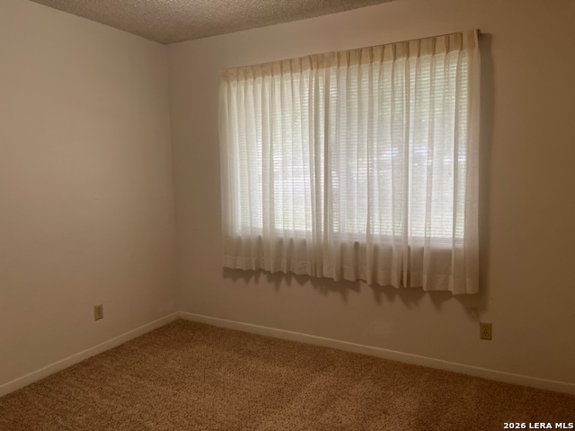 311 Cindy Dr Property Photo 11
