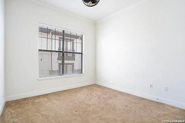 7342 Oak Manor Property Photo 25