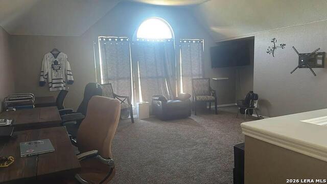 2524 Woodbridge Way Property Photo 18