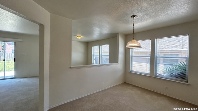 11011 Dublin Fld Property Photo 8