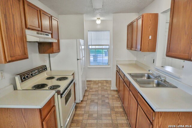 1815 Big Rock Property Photo 6