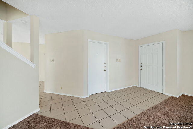 2010 Muddy Peak Dr Property Photo 6