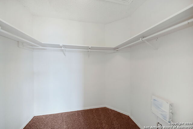 2010 Muddy Peak Dr Property Photo 26