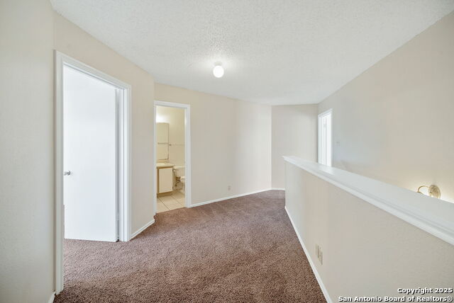 2010 Muddy Peak Dr Property Photo 32