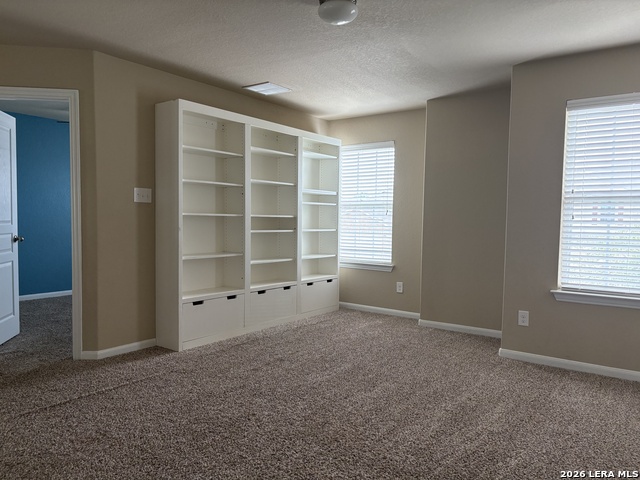 1810 Golden Maple Property Photo 18