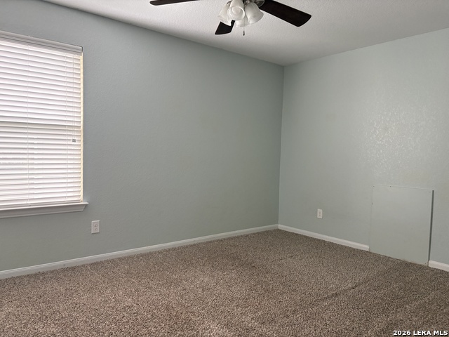 1810 Golden Maple Property Photo 26