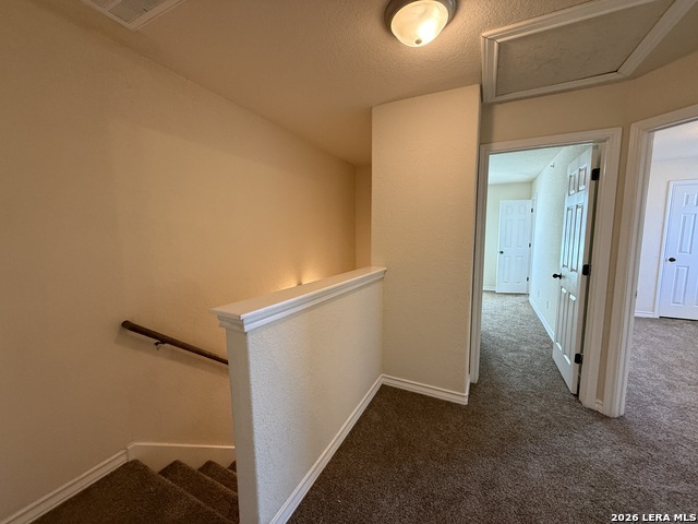 14107 Veneto Dr Property Photo 13