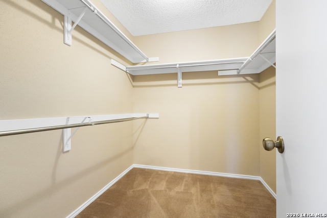 8007 Forest Crossing Property Photo 19