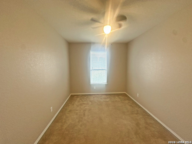7703 Sundew Mist Property Photo 4