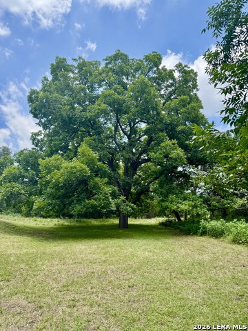 359 Bud Danner Dr Property Photo 1