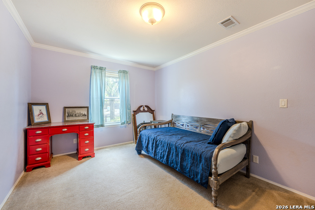 15599 E Highway 85 & Carnes Property Photo 10