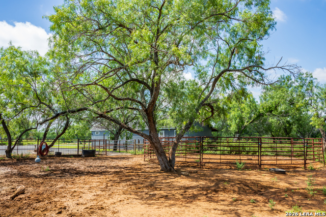 15599 E Highway 85 & Carnes Property Photo 21