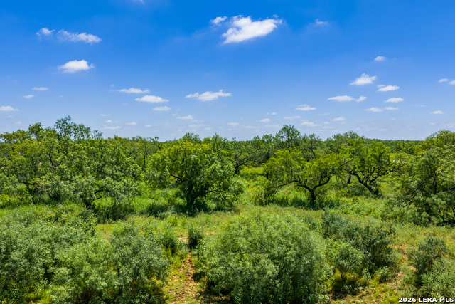 15599 E Highway 85 & Carnes Property Photo 31