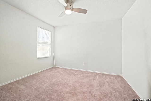 13103 Rosemary Cv Property Photo 18