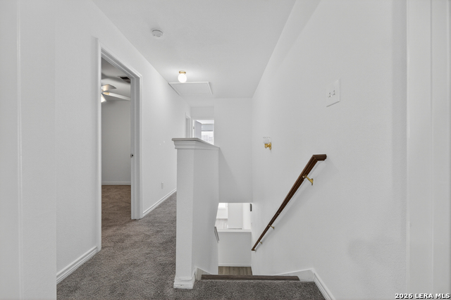 10 Bratton Dr Property Photo 18