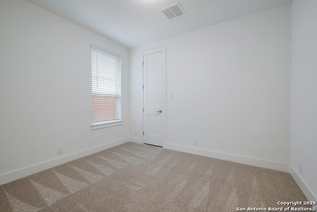 1020 Easy Gruene Property Photo 19