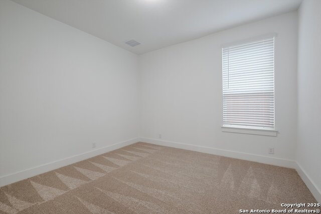 1020 Easy Gruene Property Photo 22