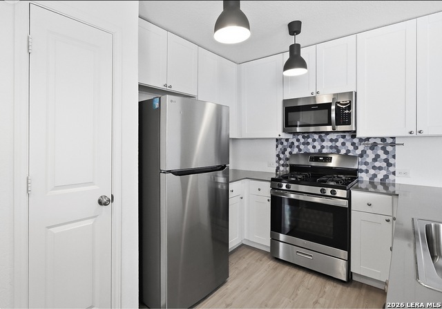 13005 Thyme Pass Property Photo 15