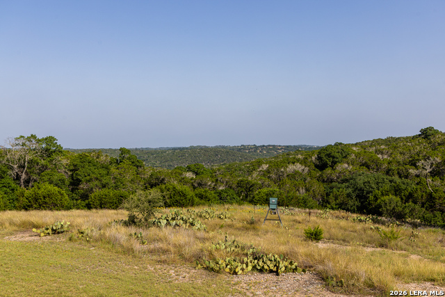 174 Cedar Rock Trail Property Photo 19