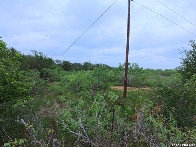 0 County Road 467 Property Photo 24