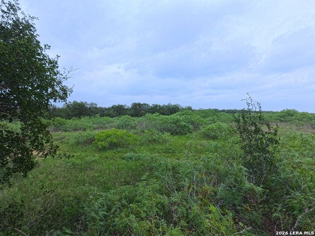 0 County Road 467 Property Photo 25