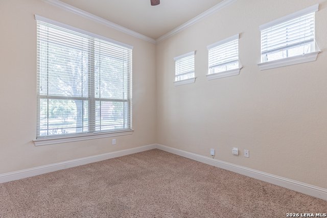 8103 Mystic Chase Property Photo 4