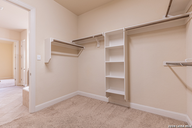 8103 Mystic Chase Property Photo 28