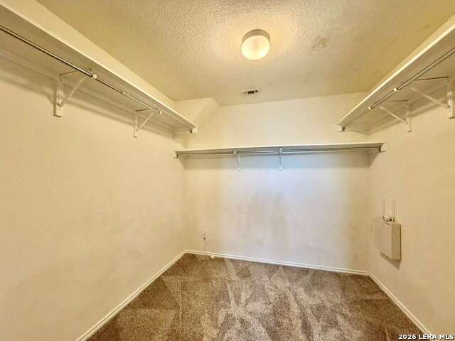 9927 Tampke Falls Property Photo 22