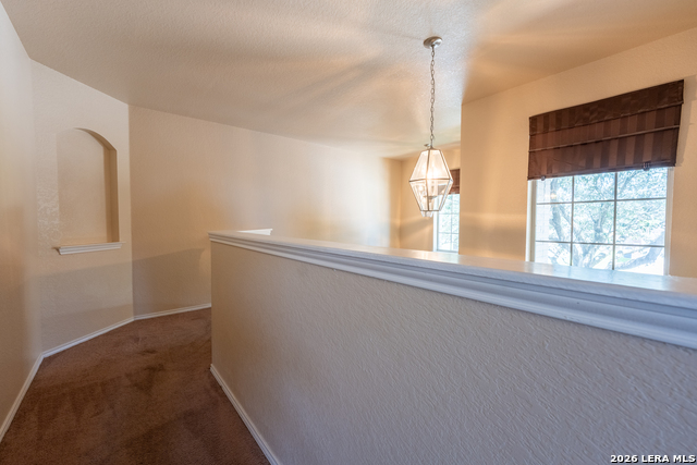 337 Longhorn Way Property Photo 22