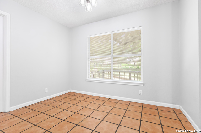 7705 Autumn Bluff Property Photo 10