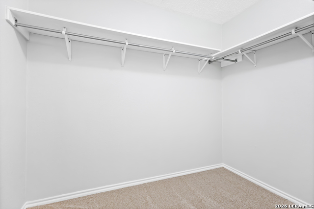 7705 Autumn Bluff Property Photo 16