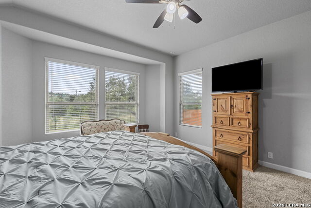 1526 Balcones Fault Property Photo 26