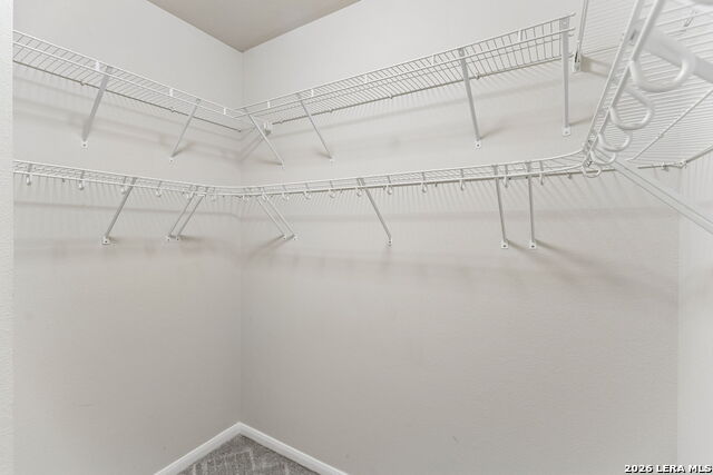 3206 Roan Valley Property Photo 22