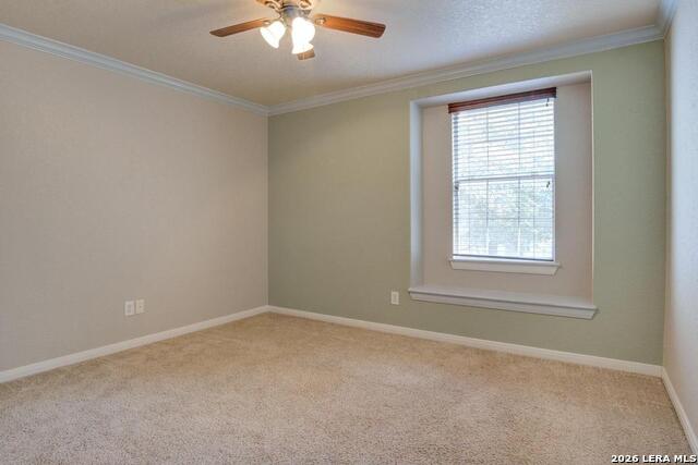 229 Cold River Property Photo 32