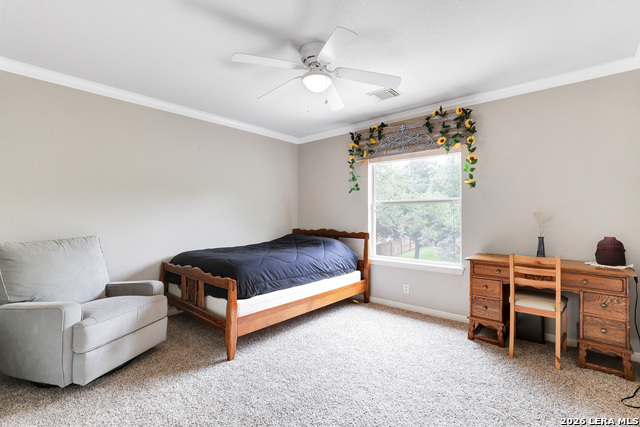 20703 Wild Springs Dr Property Photo 26